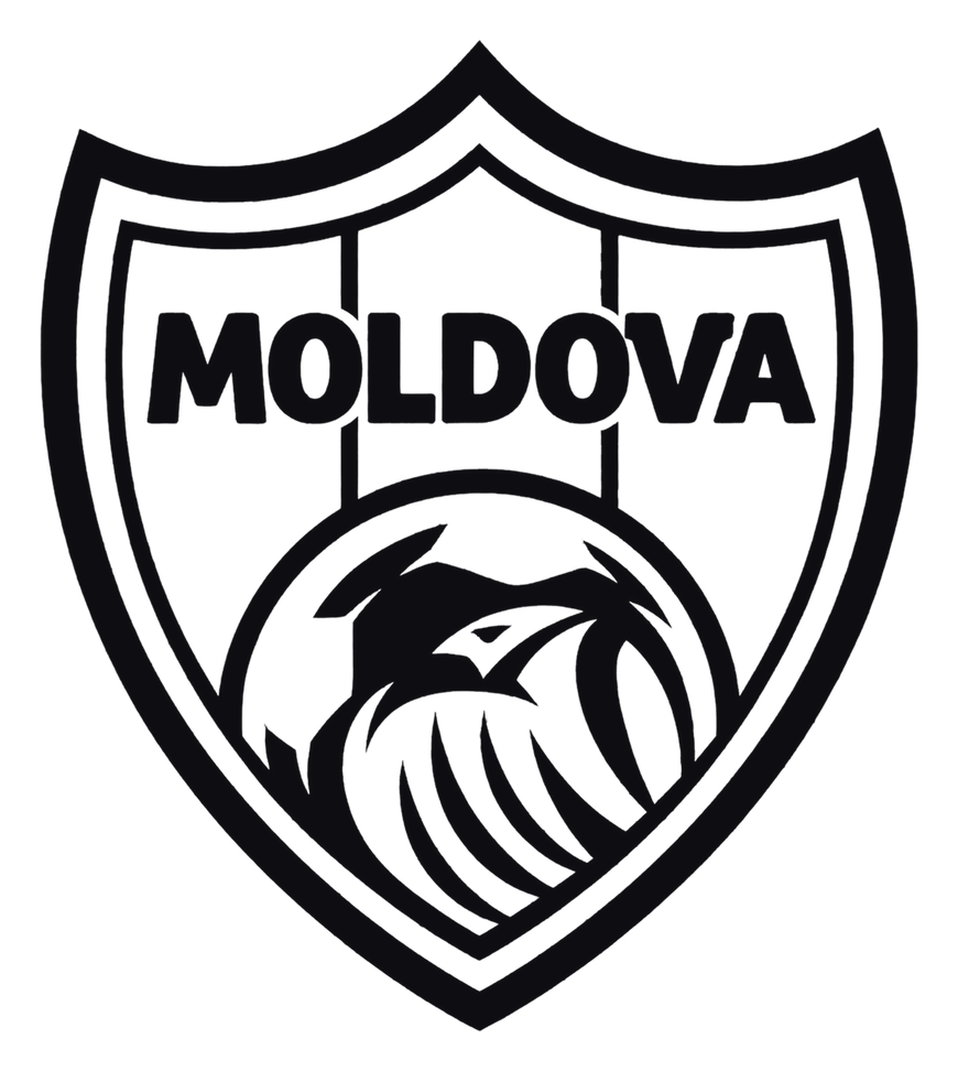 Federația Moldovenească de Fotbal